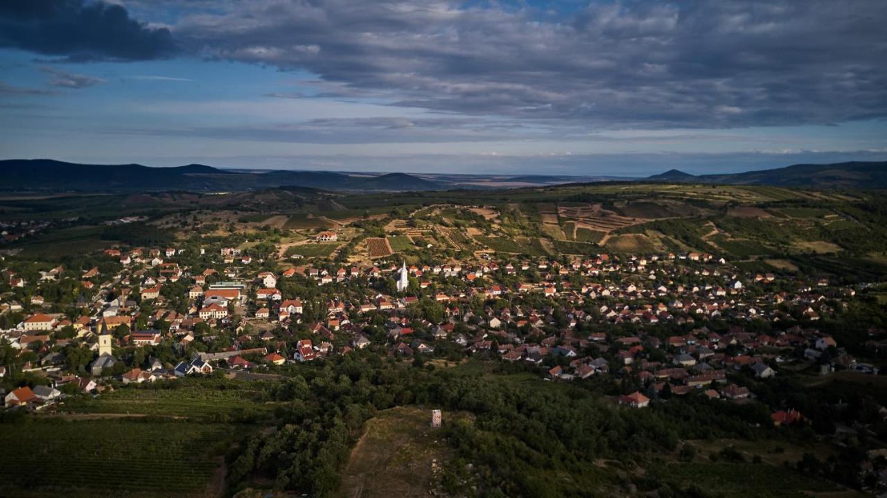 Szarka Vendeghaz Es Pince Apartment Mad Luaran gambar